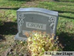 Mary E Klein Grove