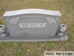 Robert Lewis Merica