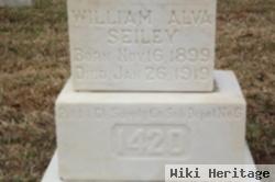 William Alva Seiley