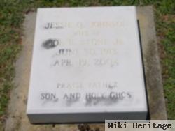 Jessie Oletia Johnson Stone