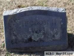 Theodore H Holt