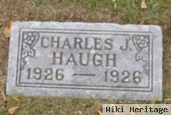 Charles J Haugh