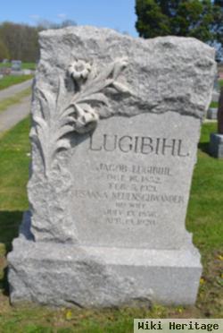 Jacob Lugibihl