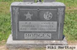 Ann Elizabeth "annie" Stark Hodges