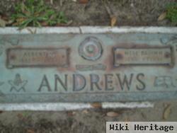 Albert Newton Andrews