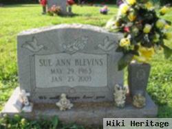 Sue Ann Blevins