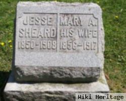 Jesse Sheard