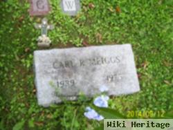 Carl R Meiggs