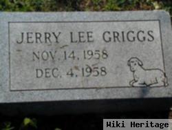 Jerry Lee Griggs