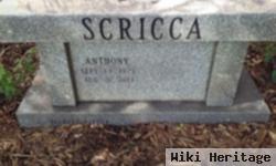 Anthony Scricca