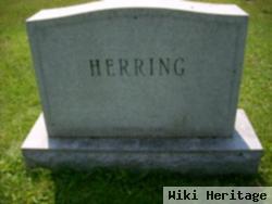 Edward N Herring