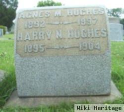 Harry Nicholson Hughes