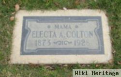 Electa Ann Meeks Colton