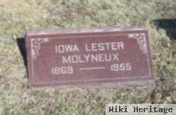 Iowa Darland Molyneux