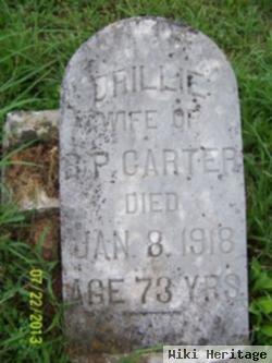 Drillie Carter