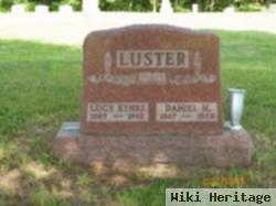 Daniel H Luster