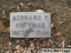 Bernard F Hoffman