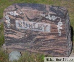 Abbie Belle Duel Burley