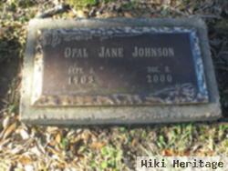 Opal Jane Johnson