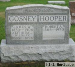 James W. Gosney