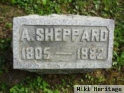 A Sheppard