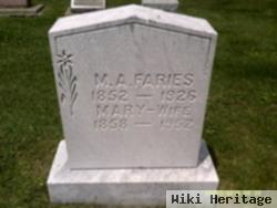 Mary Faries