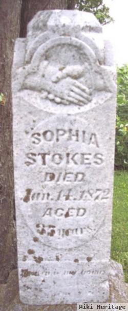 Sophia Elizabeth Drake Stokes