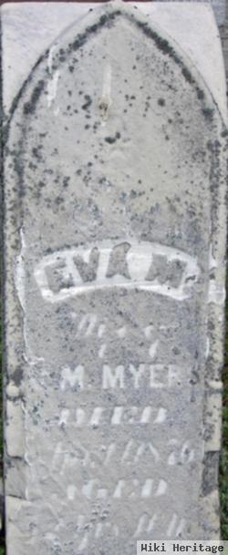 Eva M Myer