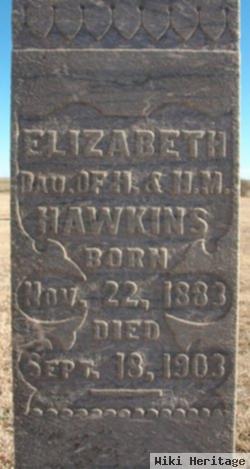 Elizabeth Frances Hawkins