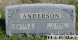 S Fern Anderson