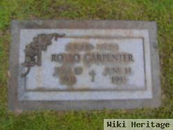 Rollo Carpenter