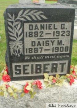 Daniel G Seibert