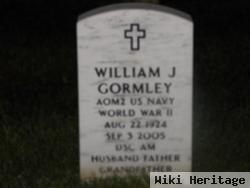 William J Gormley