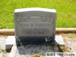 Anna M Foerster