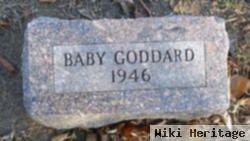 Baby Male Goddard