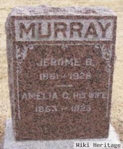 Amelia C. Murray