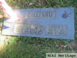 James E Gilliand