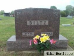 William J Biltz