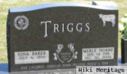 Merle Duane Triggs