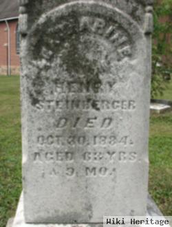 Catharine Steinberger