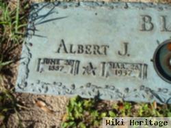 Albert J Blau