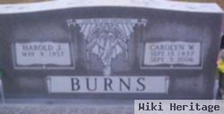 Carolyn W Blevins Burns