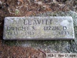 Lizzie D Leavitt