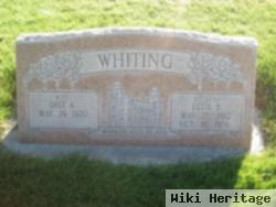 Lutie B Whiting