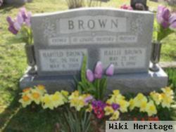 Harold Brown