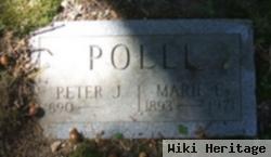 Peter J Polli