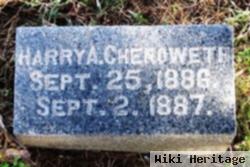 Harry A. Chenoweth