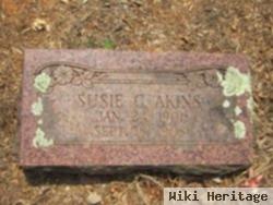 Susie C Akins