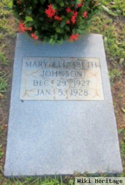 Mary Elizabeth Johnson