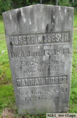 Joseph Moses, Jr